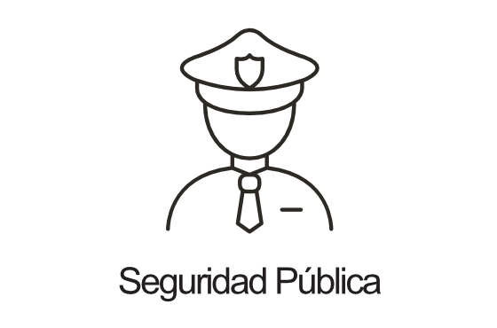 Seguridad Pública